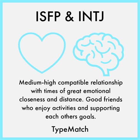 isfp vs intj|How to Tell the Difference: INTJ vs ISFP